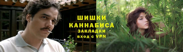 не бодяженный Гусев