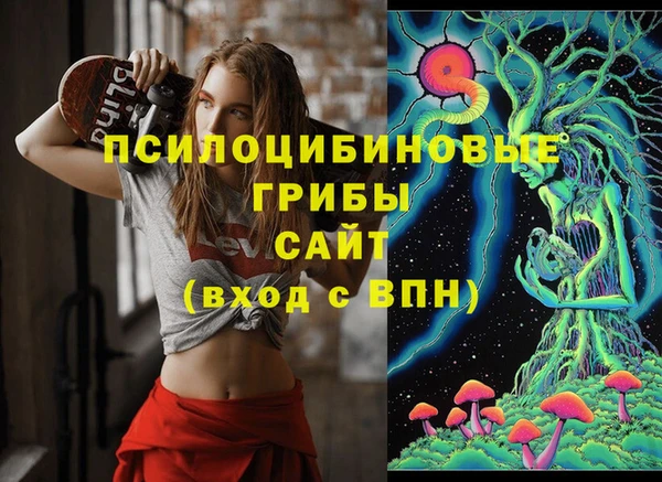 гидра Алексеевка