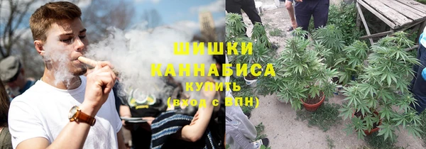 гидра Алексеевка