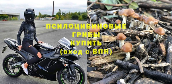 гидра Алексеевка