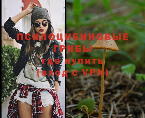 дурь Алексин